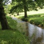 Relaxation River Flow